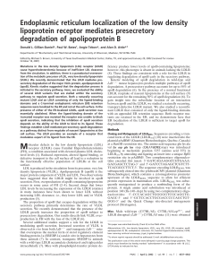 Endoplasmic reticulum localization of the low density lipoprotein