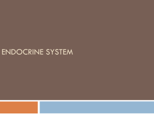 Endocrine System