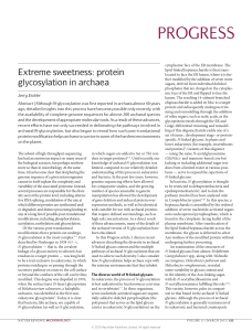 Extreme sweetness: protein glycosylation in archaea