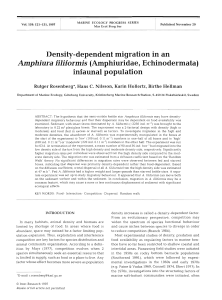 Density-dependent migration in an Amphiura filiformis (Amphiuridae