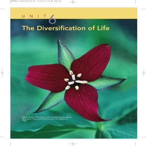 Chapter 27: The Diversification of Life