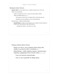 Mechanics before Newton Planetary Motion before Newton Kepler