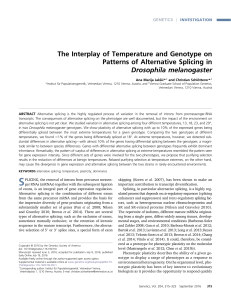 The Interplay of Temperature and Genotype on Patterns