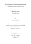 PDF (MSc Thesis) - DORAS