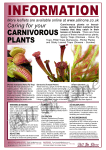 carnivorous plants.cdr