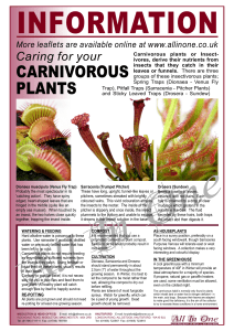 carnivorous plants.cdr