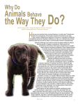 Why Do Animals Behave - University of Arizona