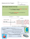 Osmosis and Active Transport