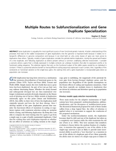 Multiple Routes to Subfunctionalization and Gene Duplicate