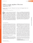 CDK5 is a major regulator of the tumor suppressor DLC1