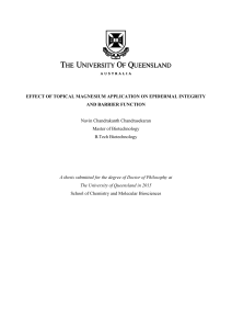 A thesis submitted for the degree of Doctor of Philosophy