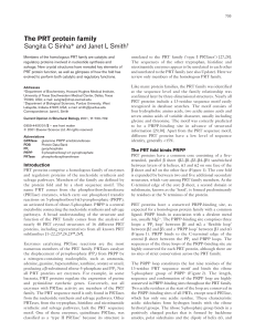 The PRT protein family Sangita C Sinha* and Janet L Smith