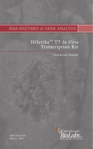 manual HiScribe T7 In Vitro Transcription Kit E2030