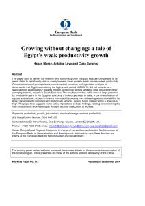 Growing without changing: a tale of Egypt`s weak productivity growth