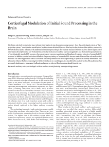 Corticofugal Modulation of Initial Sound