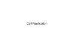 Cell Replication