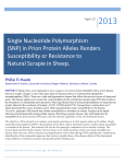 Single Nucleotide Polymorphism (SNP)