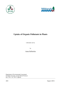Uptake of Organic Pollutants in Plants
