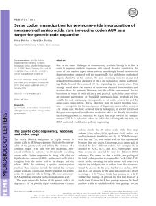 Sense codon emancipation for proteomewide incorporation of