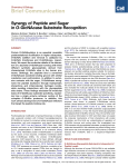 Synergy of Peptide and Sugar in O