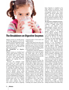 The Breakdown on Digestive Enzymes
