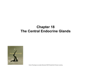 Chapter 18 The Central Endocrine Glands