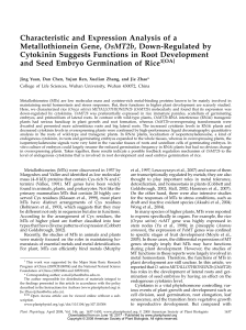 Characteristic and Expression Analysis of a