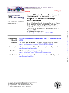 Mediate Protection Receptors and Alveolar Macrophages Matrix