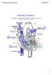 Circulatory System.notebook