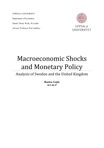 Macroeconomic Shocks and Monetary Policy