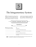 The Integumentary System