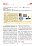 Plasmonic Nanopore for Electrical Profiling of