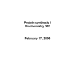 Protein synthesis I Biochemistry 302 February 17, 2006