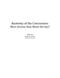 Anatomy of the Concussion