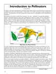 Introduction to Pollinators