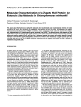 Molecular Characterization of a Zygote Wall Protein