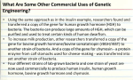 What Are Some Other Commercial Uses of Genetic Engineering?