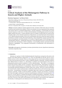 Critical Analysis of the Melanogenic Pathway in Insects and Higher