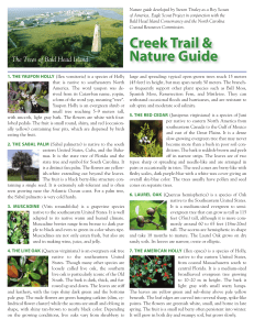 Guide - Bald Head Island Conservancy