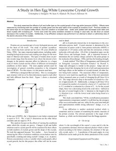 A Study in Hen Egg White Lysozyme Crystal Growth