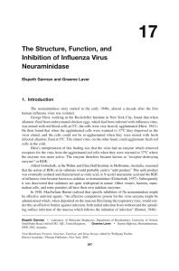 The Structure, Function, and Inhibition of Influenza Virus