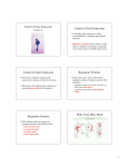 Control of Gene Expression Control of Gene Expression Regulatory