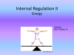 Internal Regulation II
