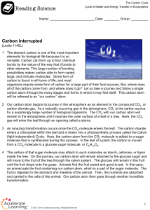 Carbon Interrupted