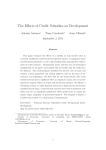 The Effects of Credit Subsidies on Development
