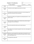 Chapter 3 Vocabulary