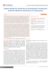 Culture Media for Detection of Acinetobacter baumannii Selective