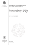 Conservation Genetics of Wolves and their Relationship with Dogs