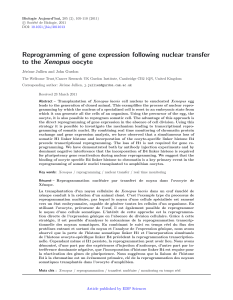 Reprogramming of gene expression following nuclear transfer to the