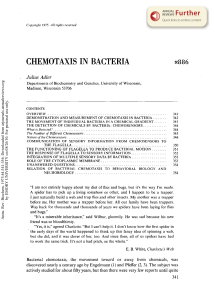Chemotaxis in Bacteria